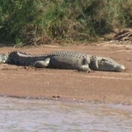 Kununurra to Darwin