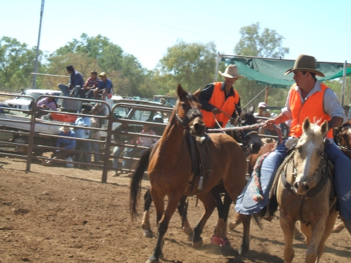 rodeo.jpg